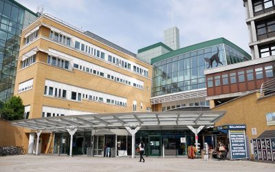 Precision Digital Topographical & Utilities Survey, Whittington Hospital, London