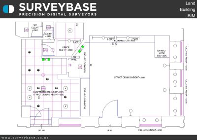 Retail Surveys Greggs